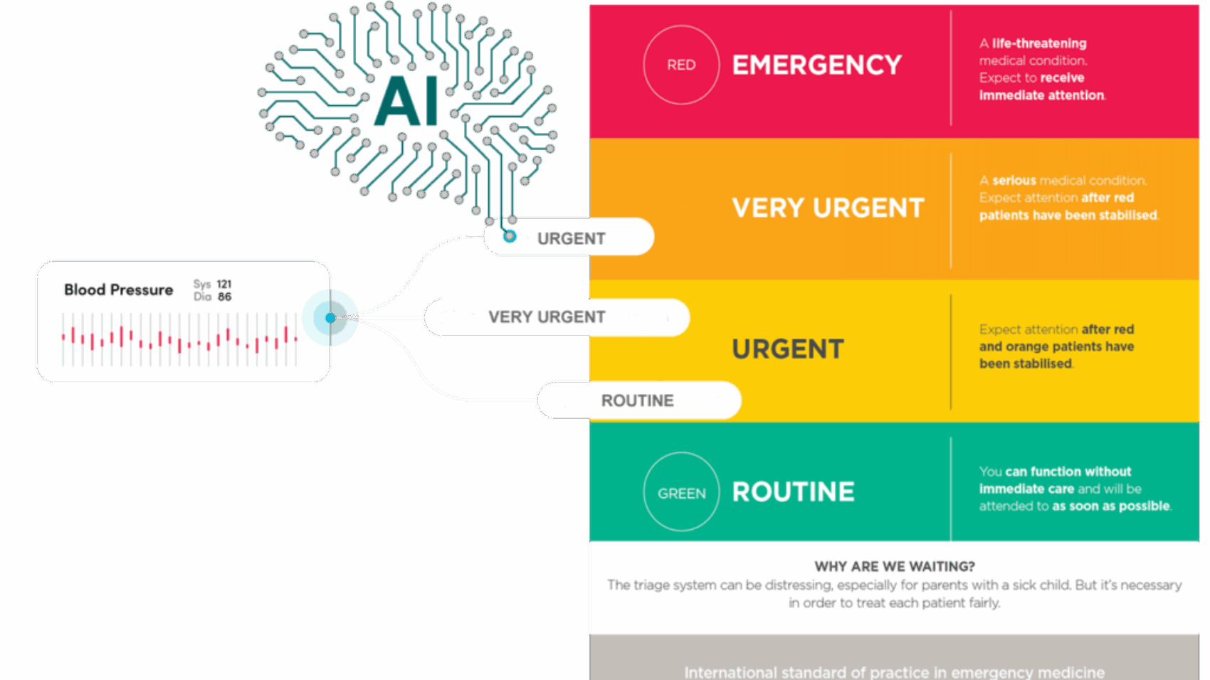 triage-bp1-1024x645