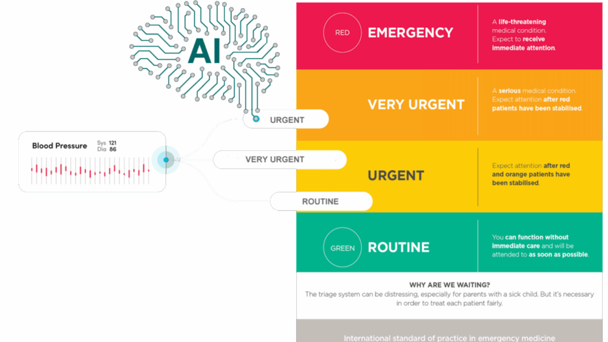 triage-bp1-1024x645