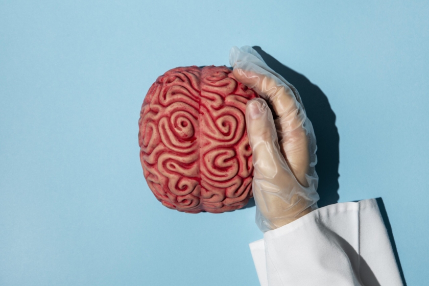 top-view-person-holding-brain
