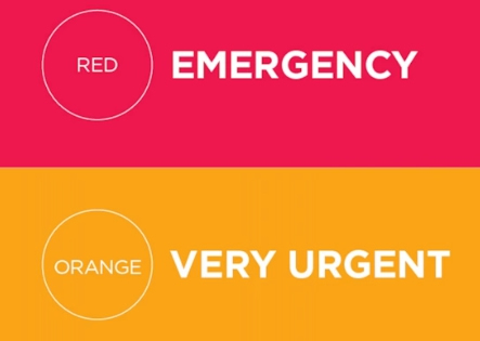triage-level2